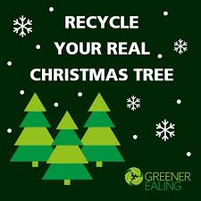 Christmas tree Collection